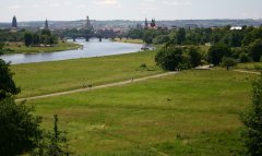 Der Waldschlchenblick